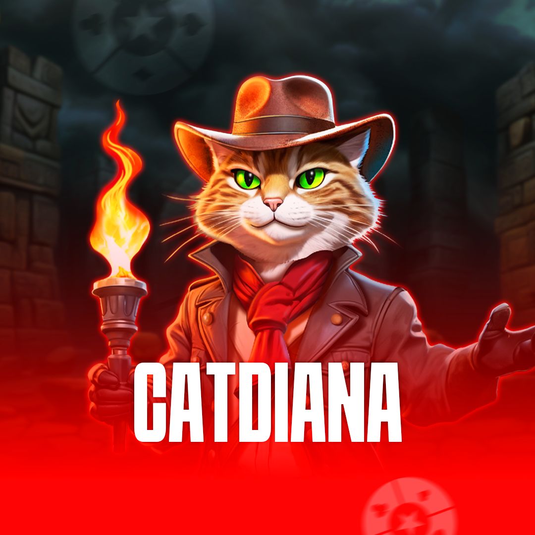 Academia online foguete